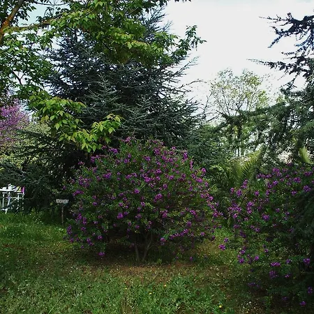 Rosa Dei Venti Bed & Breakfast *