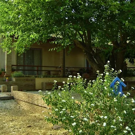 Rosa Dei Venti *